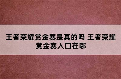 王者荣耀赏金赛是真的吗 王者荣耀赏金赛入口在哪